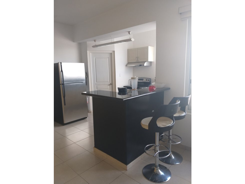 Apartamento en Venta en Avenida Balboa, 113 Mts — foto 5
