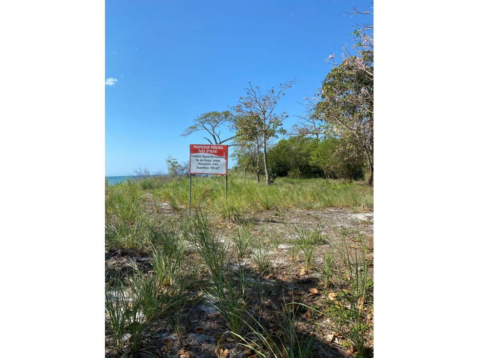 SEA Confiable Vende Terreno Frente al Mar Juan Hombron - 5