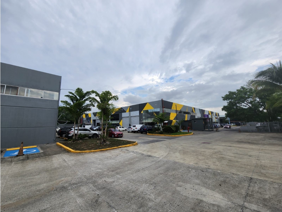 Galera Comercial 320 m² Showroom Oficina y Almacenaje en un Solo Lugar - 6