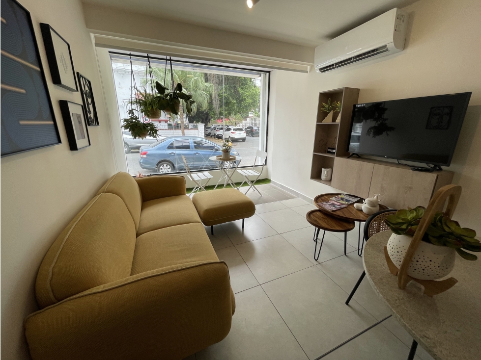 SEA CONFIABLE VENDE APARTAMENTO EN PH ARMONIA CON 2 RECAMARAS — foto 4