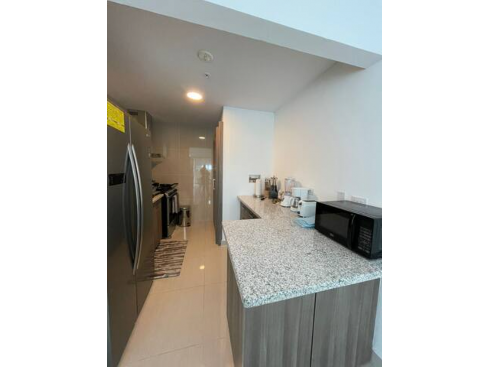 SEA CONFIABLE ALQUILA CON OPCION A COMPRA PH 43 GREEN VIEW AV BALBOA — foto 5
