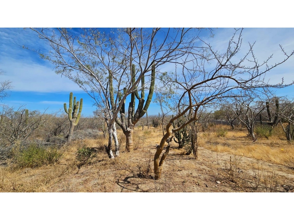 Lote de 1,000 m2 en venta en El Tezal, Cabo San Lucas - 1