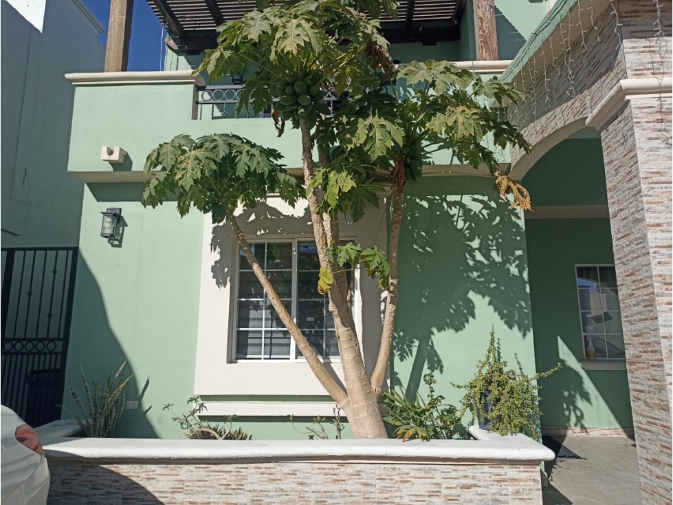CASA EN RENTA - CABO SAN LUCAS, FRACCIONAMIENTO CASA BLANCA — foto 3