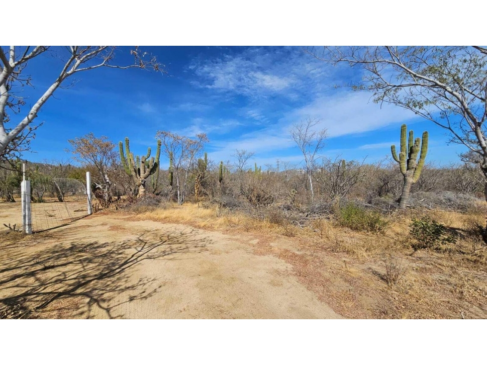Lote de 1,000 m2 en venta en El Tezal, Cabo San Lucas - 2