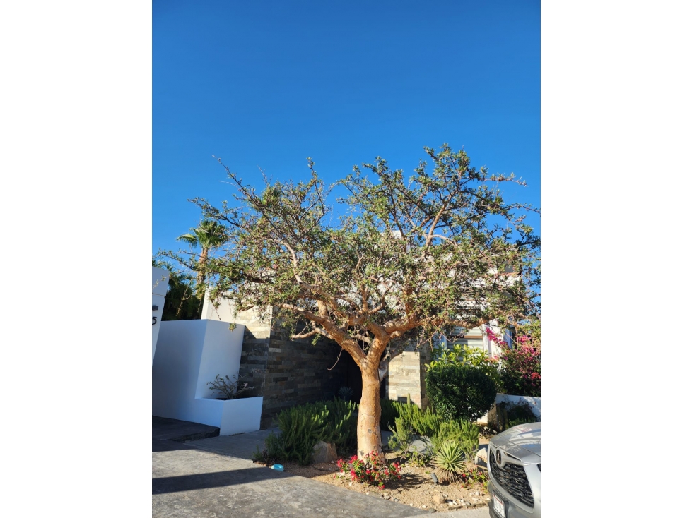 RENTA DE CASA EN CAMPESTRE MONTECITOS, SAN JOSÉ DEL CABO, B.C.S MC-26 — foto 2