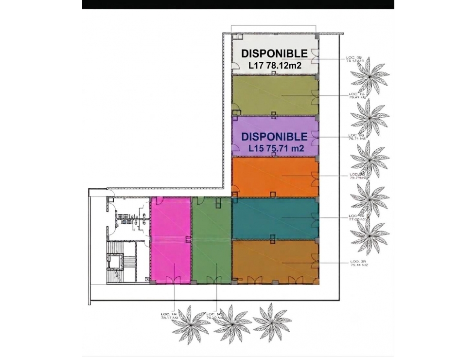 RENTA DE LOCAL COMERCIAL EN KOE CENTER, CABO SAN LUCAS, B.C.S CZ-191 - 2