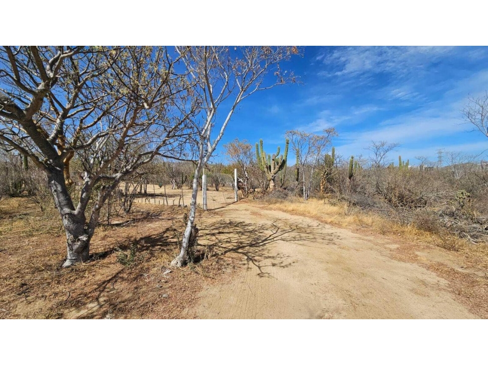 Lote de 1,000 m2 en venta en El Tezal, Cabo San Lucas - 3