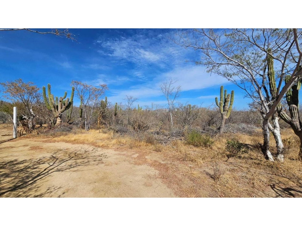 Lote de 1,000 m2 en venta en El Tezal, Cabo San Lucas - 4