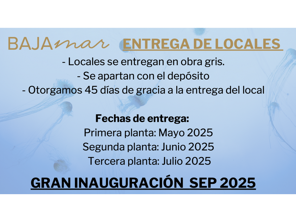 LOCALES PARA RENTA PLAZA BAJA MAR EN EL TEZAL - 5