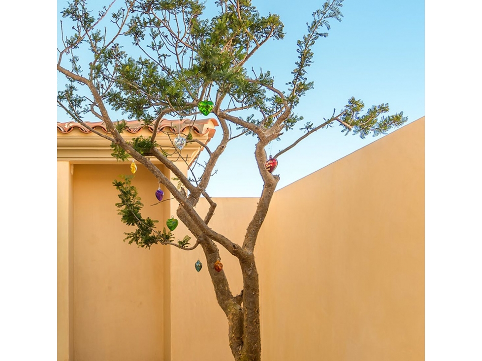 Casa en Renta en The Villas at Rancho San Lucas — foto 5