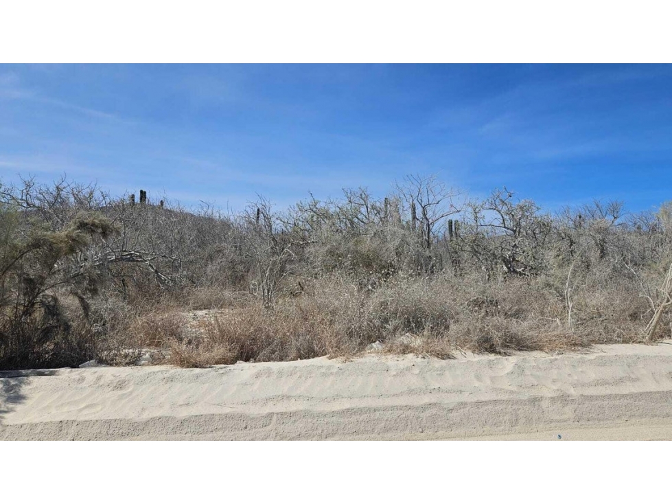 Lote de 1,000 m2 en venta en El Tezal, Cabo San Lucas - 6