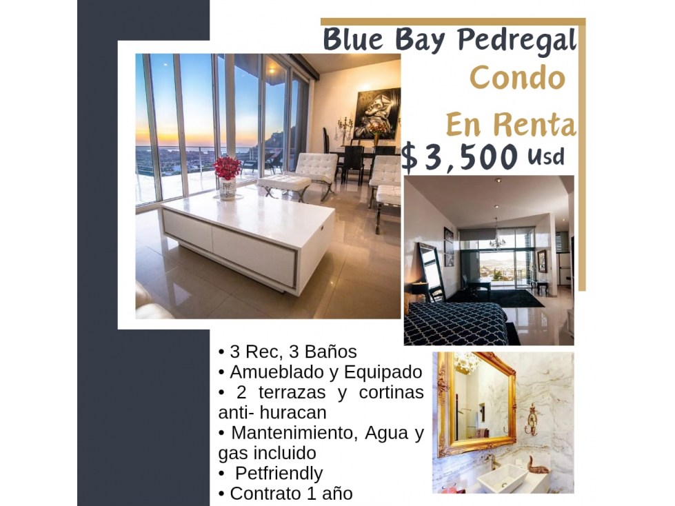 RENTA CONDO BLUE BAY PEDREGAL LOS CABOS BCS