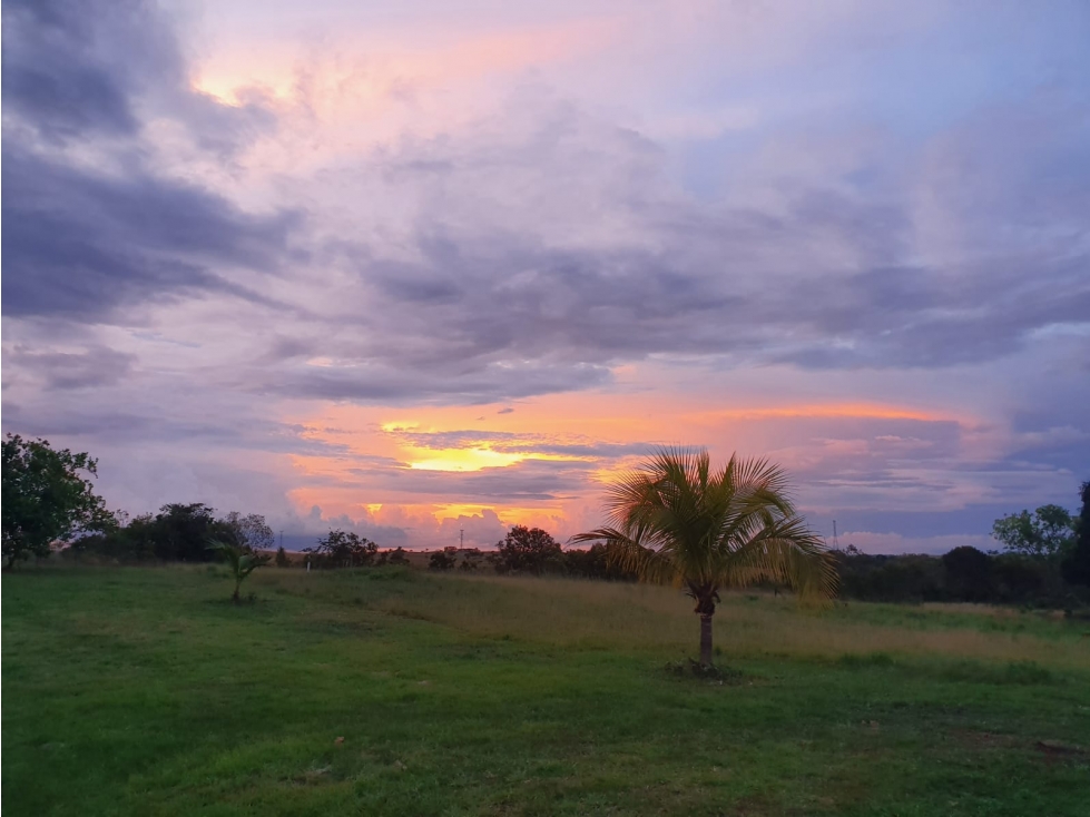 Finca Productiva, Puerto López, Meta - 1
