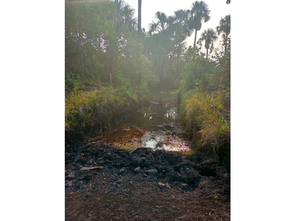 Finca Productiva, Puerto López, Meta - 4