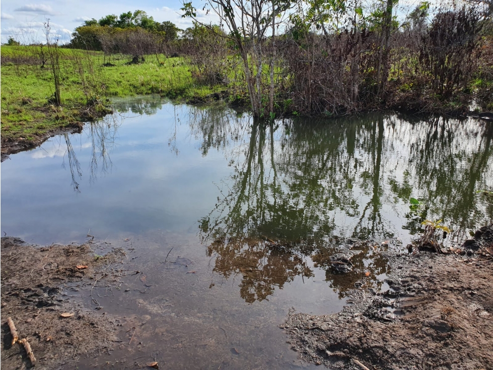 Finca Productiva, Puerto López, Meta - 6
