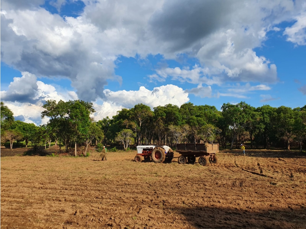 Finca Productiva, Puerto López, Meta - 2