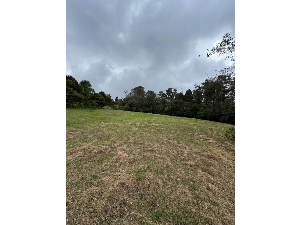 VENTA LOTE NEBRASKA ALTO LAS PALMAS