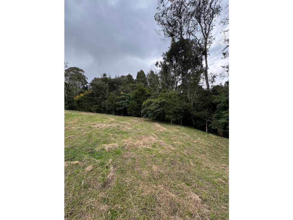 VENTA LOTE NEBRASKA ALTO LAS PALMAS — foto 2