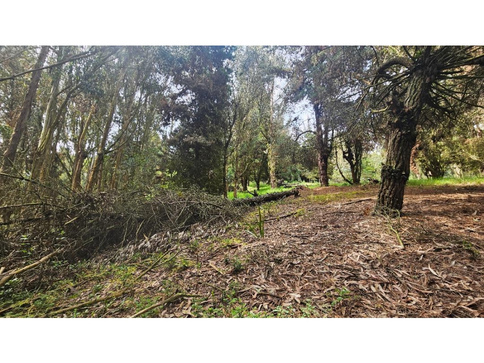 VENTA LOTE CONJUNTO CAMPESTRE COGUA CUNDINAMARCA - 3