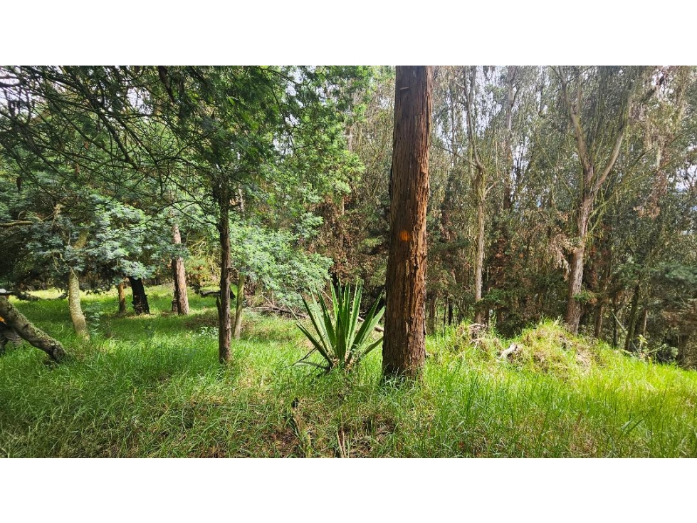 VENTA LOTE CONJUNTO CAMPESTRE COGUA CUNDINAMARCA - 2