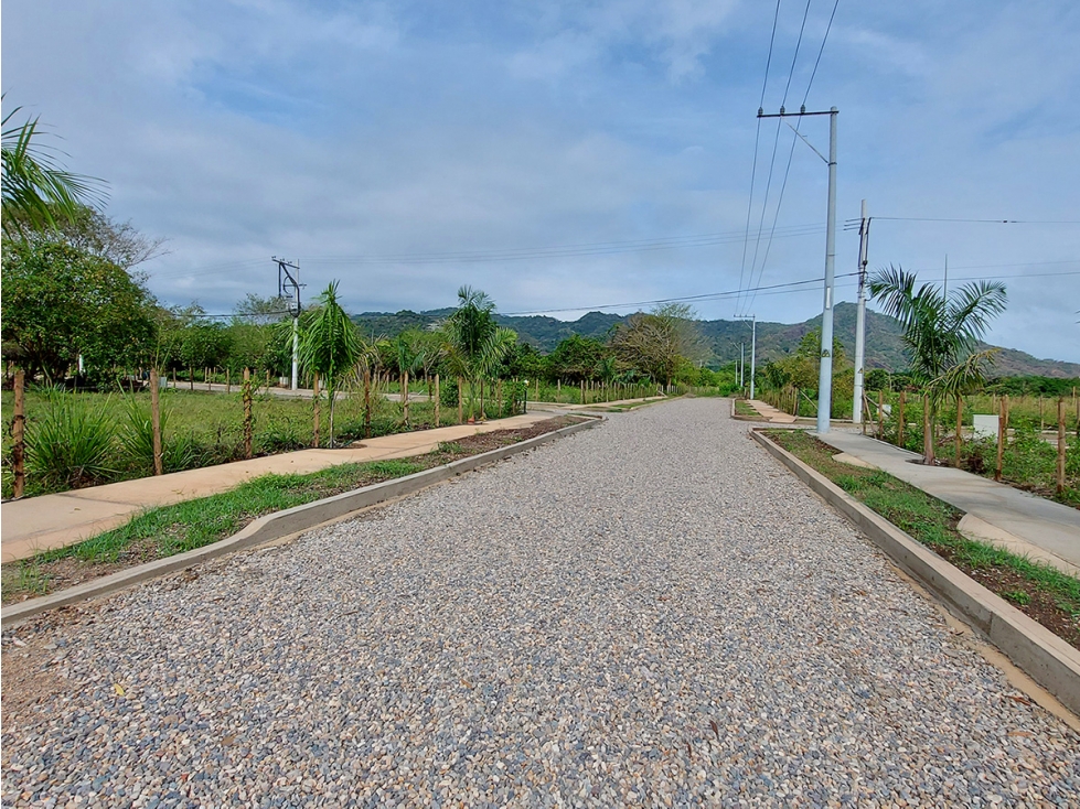 Lote Campestre en Venta en Palomino, Cerca al Mar y al Río, La Guajira - 4