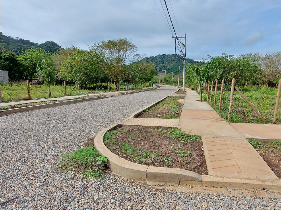 Lote Campestre en Venta en Palomino, Cerca al Mar y al Río, La Guajira - 6