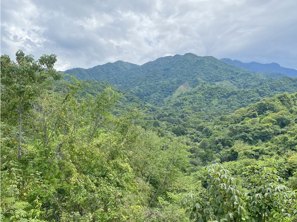 Casa Finca para vivir, río y vista a Santa Marta, vía a Minca, Tigrera - 4