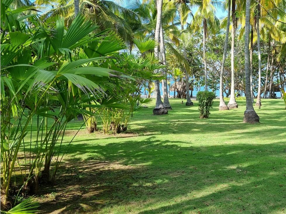Ecolodge en Venta en Palomino, 100 metros frente de Playa, Colombia - 5