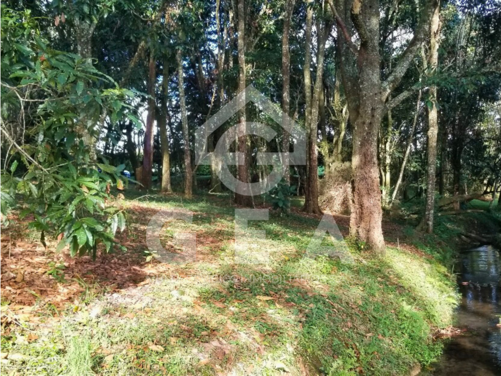 Venta de Lote, en Popayán, en la Parcelación Señora María Rosa - 5