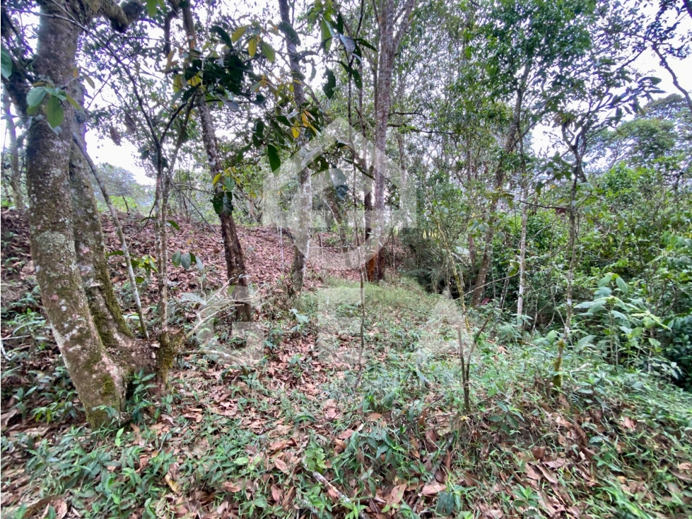 Venta de Lote en Cajibío, Parcelación Villa Isabella, Vereda La Viuda. - 2