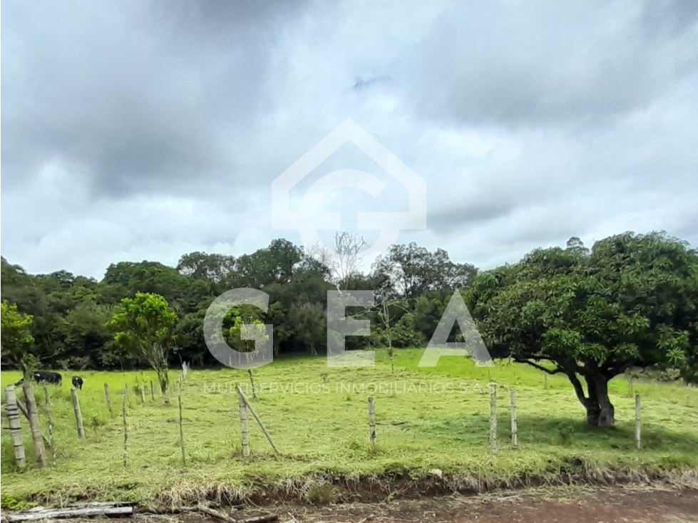 Venta de Lote en Tunia - Piendamó, Vereda San Isidro - 1