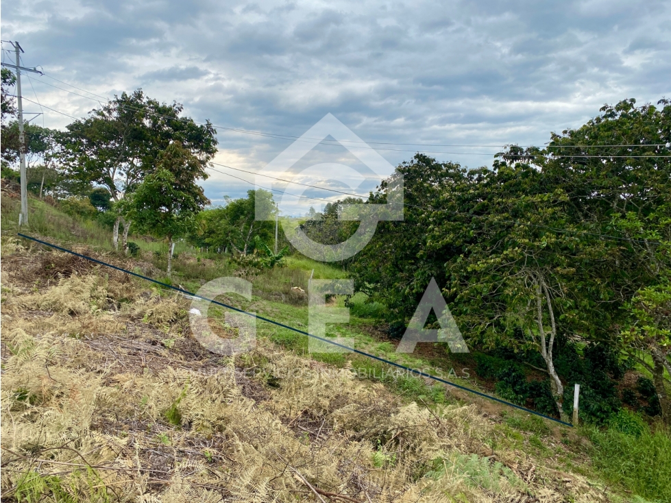 Venta de Lote en Cajibío, Parcelación Villa Isabella, Vereda La Viuda. - 4