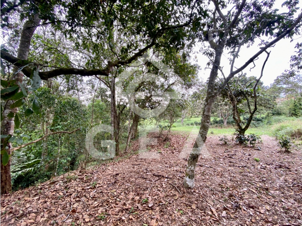 Venta de Lote en Cajibío, Parcelación Villa Isabella, Vereda La Viuda. - 5
