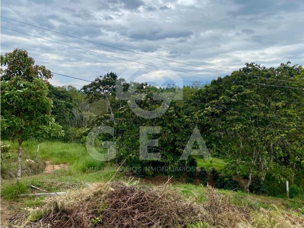 Venta de Lote en Cajibío, Parcelación Villa Isabella, Vereda La Viuda. - 6