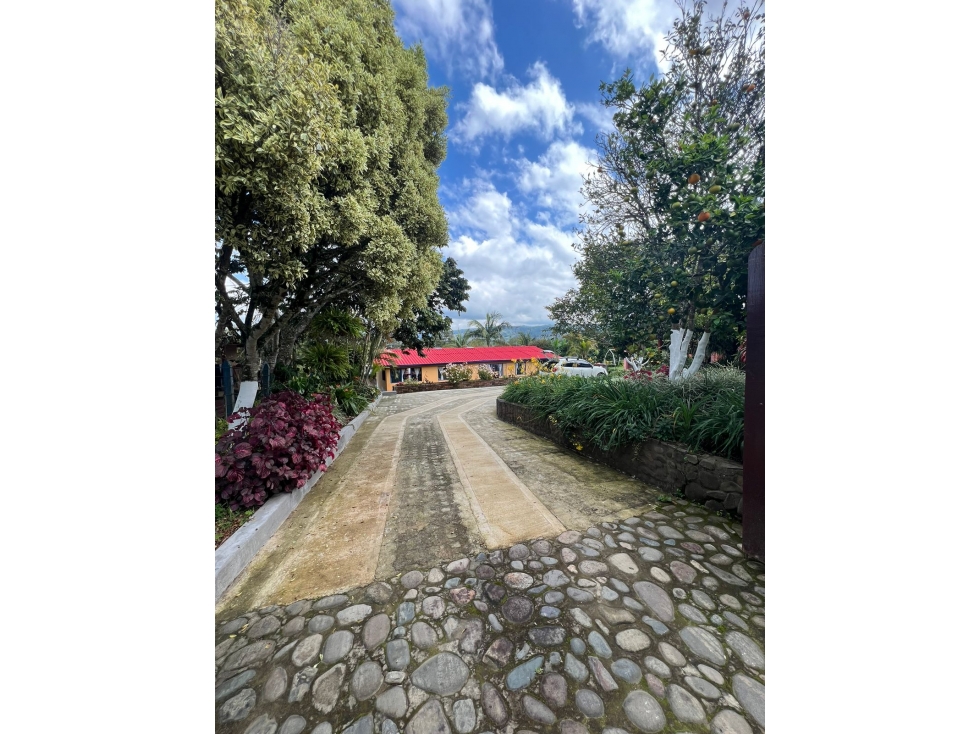Venta de Casa en Totoró, Campestre, Vereda Florencia - 4