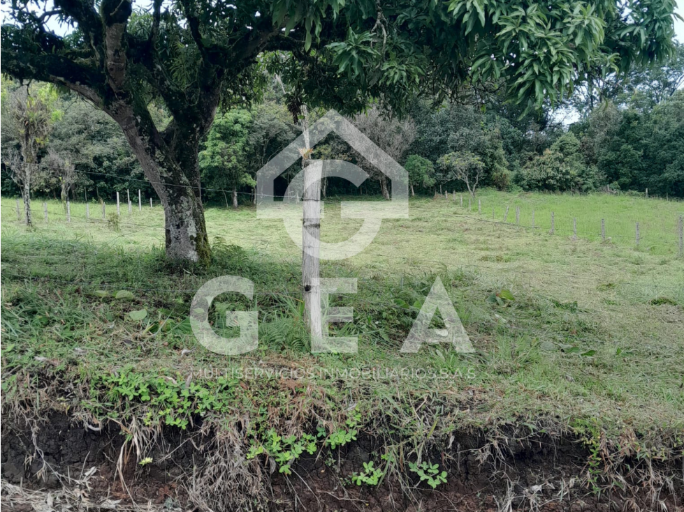 Venta de Lote en Tunia - Piendamó, Vereda San Isidro - 2