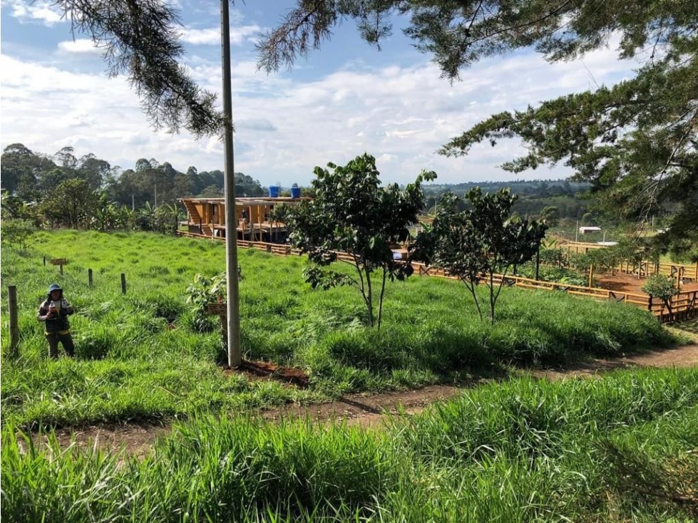 Venta de lote en Cajibío, Villa Patricia - 2