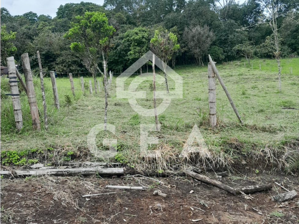 Venta de Lote en Tunia - Piendamó, Vereda San Isidro - 3