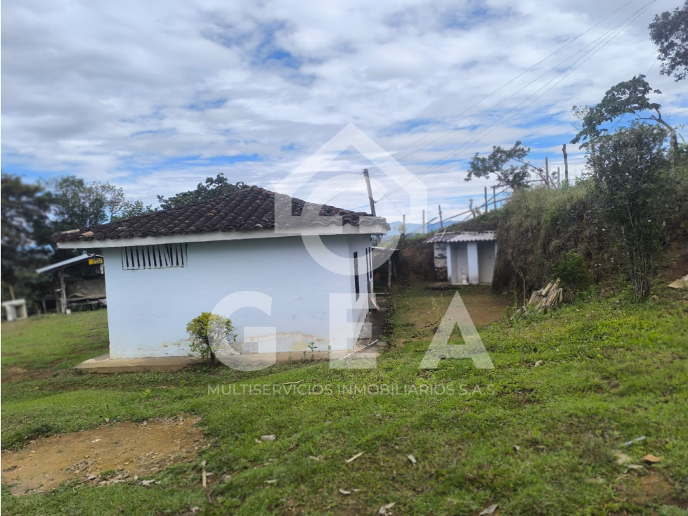 Venta de Finca en Timbío, Vereda el Guayabal - 3