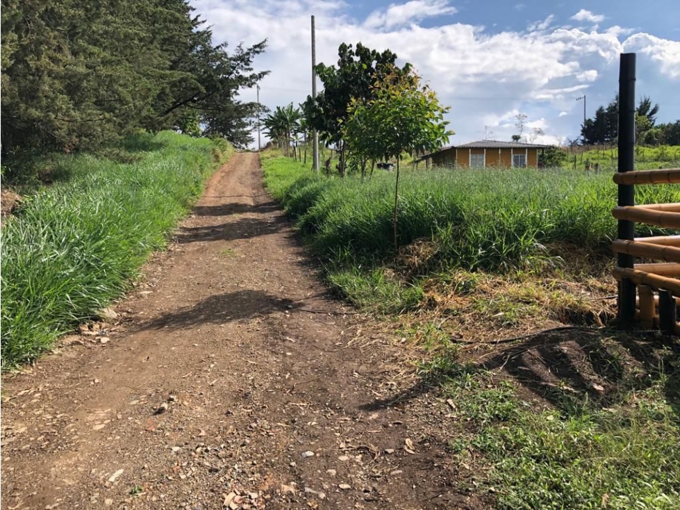 Venta de lote en Cajibío, Villa Patricia - 3