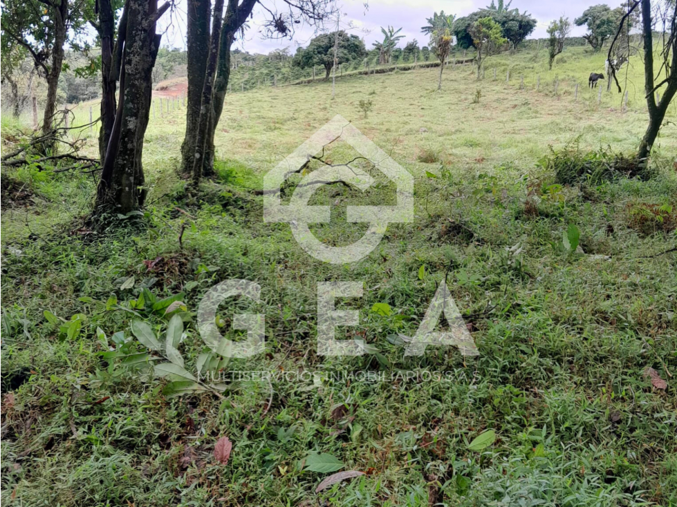 Venta de Lote en Tunia - Piendamó, Vereda San Isidro - 4