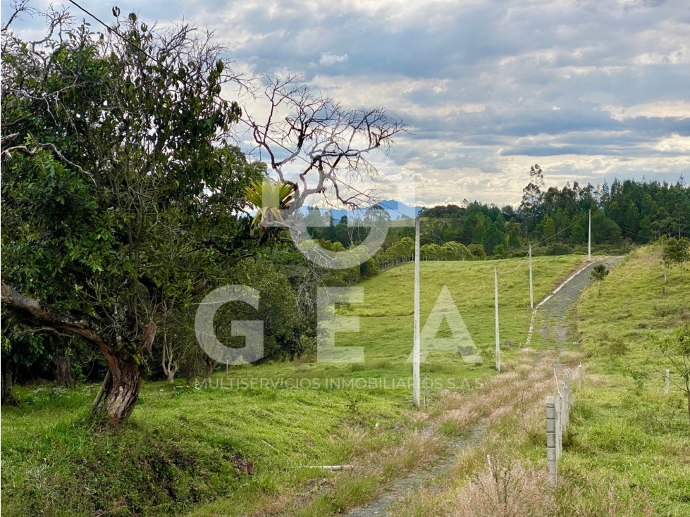 Venta de Lote en Cajibío, Parcelación Villa Marsella - 5
