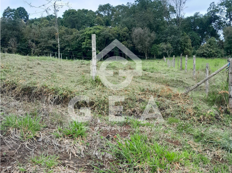 Venta de Lote en Tunia - Piendamó, Vereda San Isidro - 5