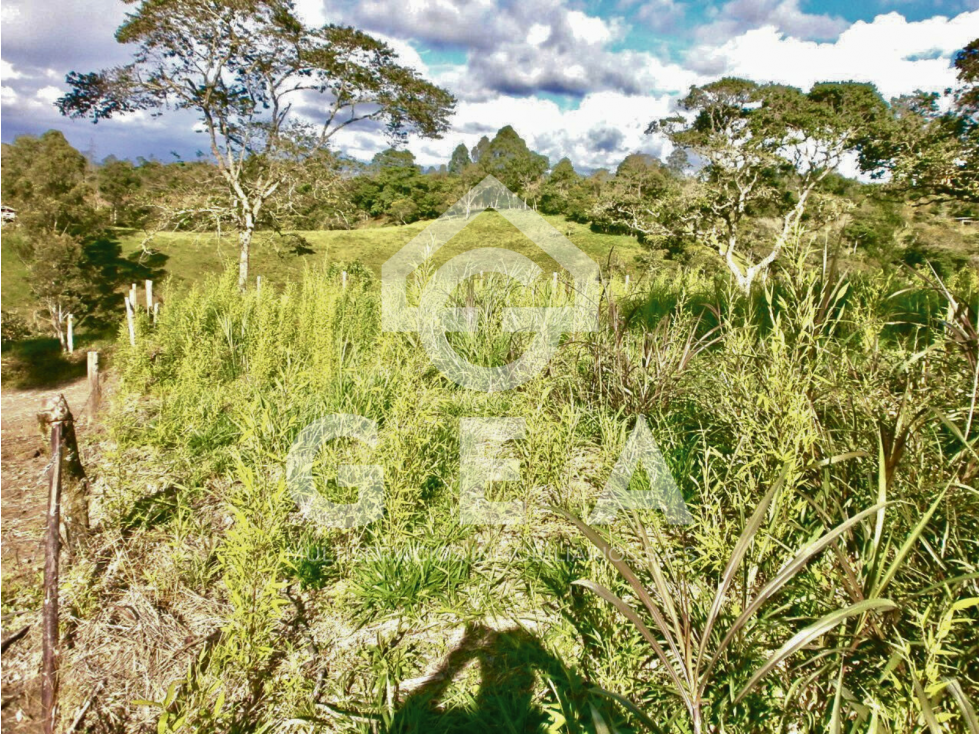 Venta o Permuta de Lote Esquinero en Timbío - 2