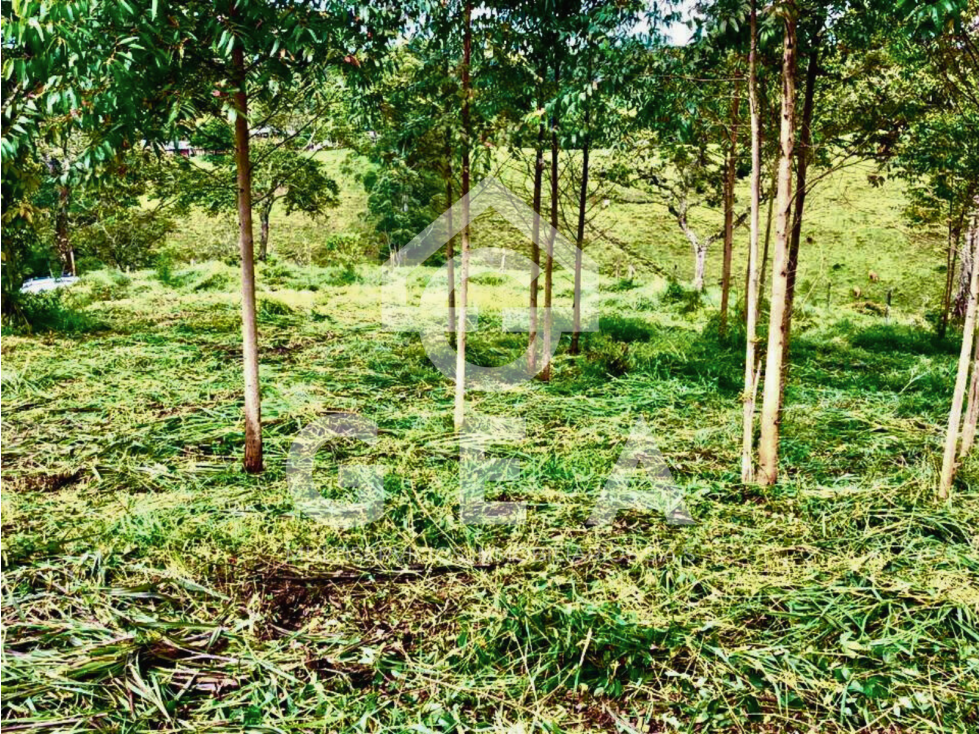 Venta o Permuta de Lote Esquinero en Timbío - 3