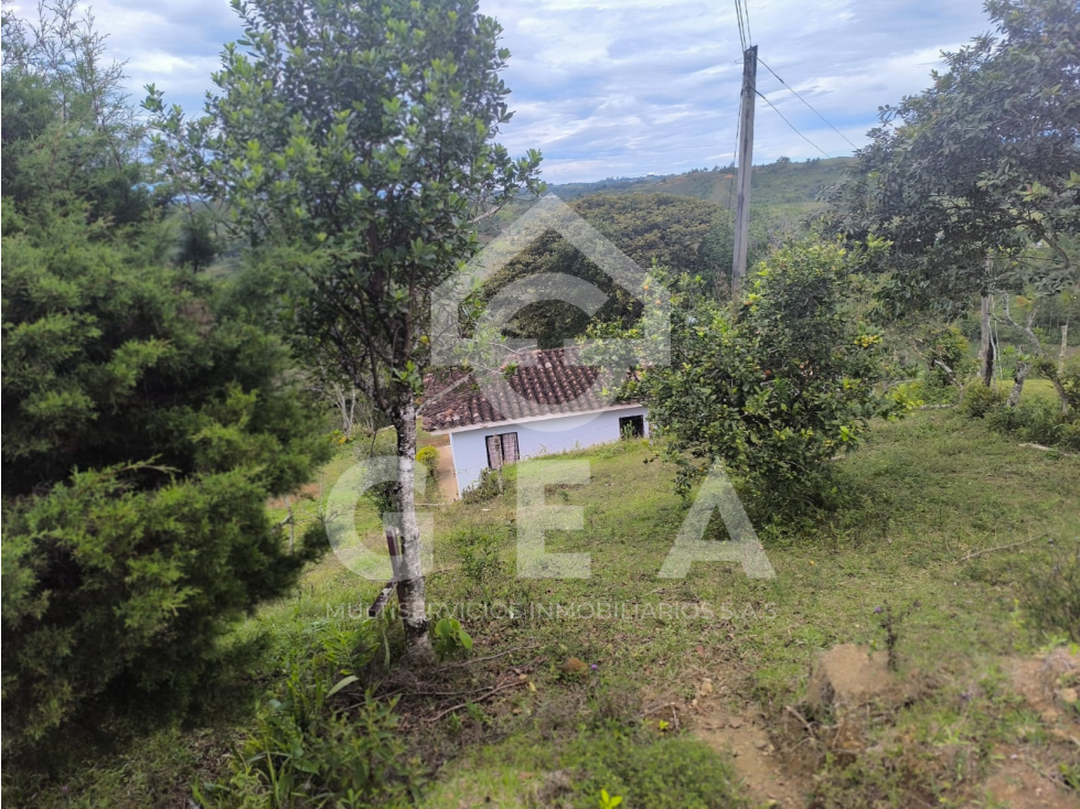 Venta de Finca en Timbío, Vereda el Guayabal - 6