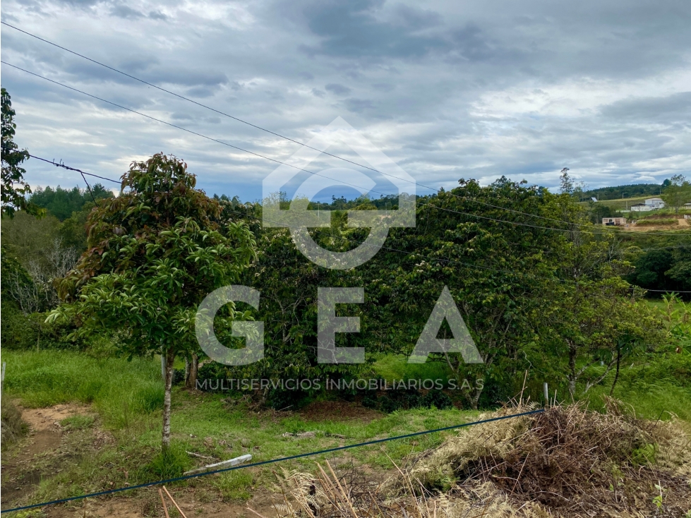Venta de Lote en Cajibío, Parcelación Villa Isabella, Vereda La Viuda. - 1