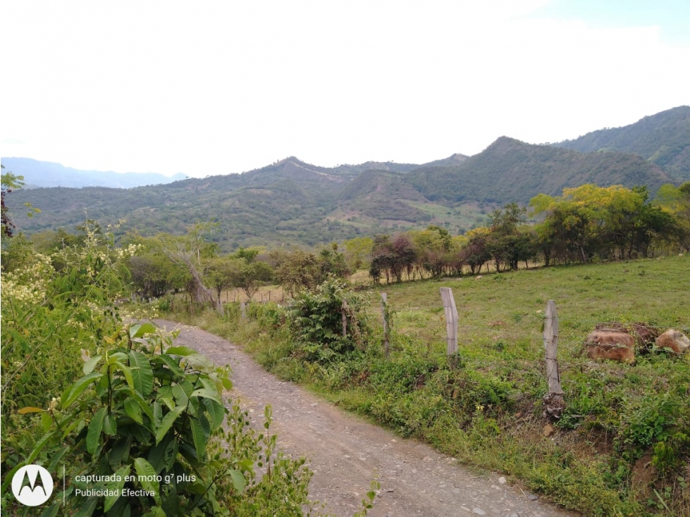 Hermoso Lote - 5