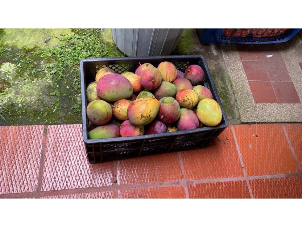 casa lote guasimal tena con frutales - 6
