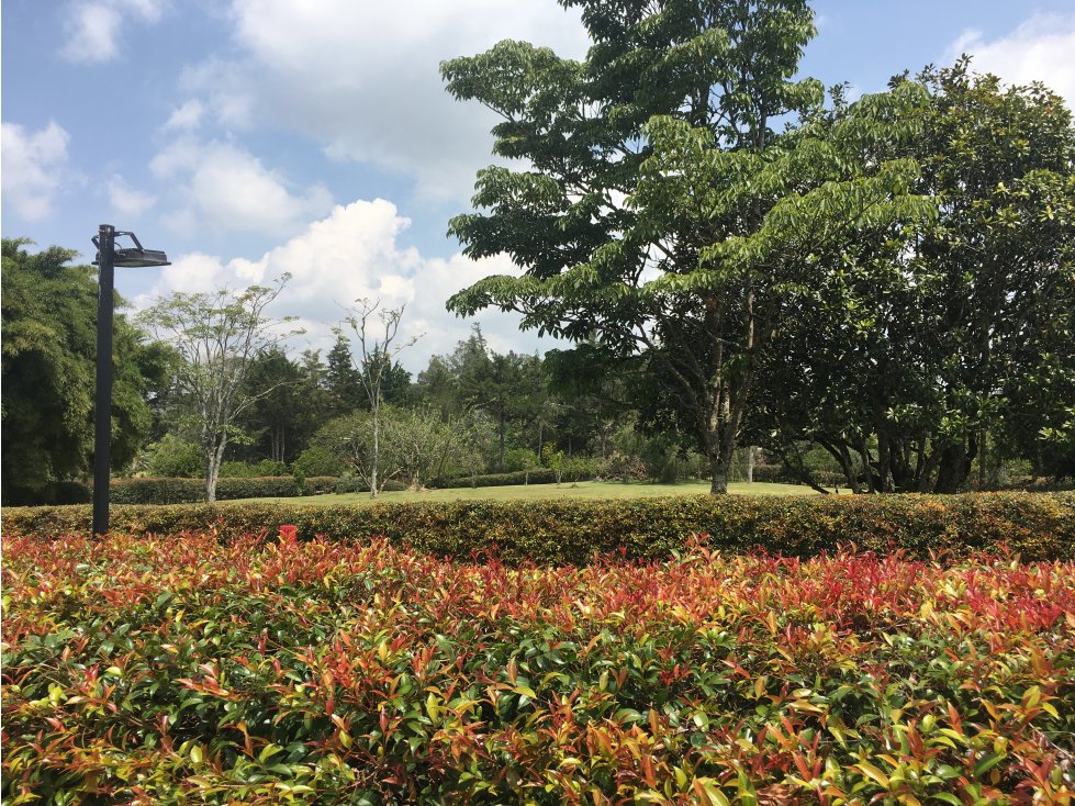 VENTA DE HERMOSO LOTE PLANO EN RIONEGRO ANTIOQUIA, ORIENTE — foto 6